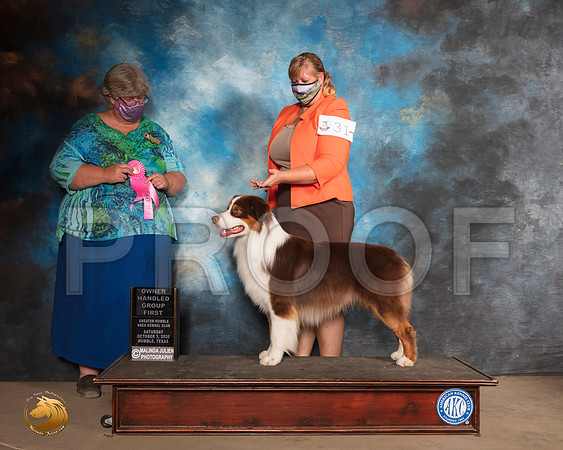 Australian Shepherd #31 Sat OHG1 Judge Amy Sorbie_SR_0819_Humble_2020_HR3