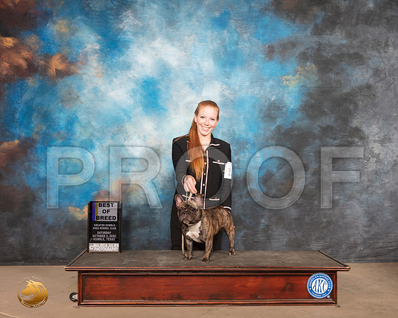 French Bulldog #12 Sat BOB SHEILA D PASKE_SR_0850_Humble_2020_HR3
