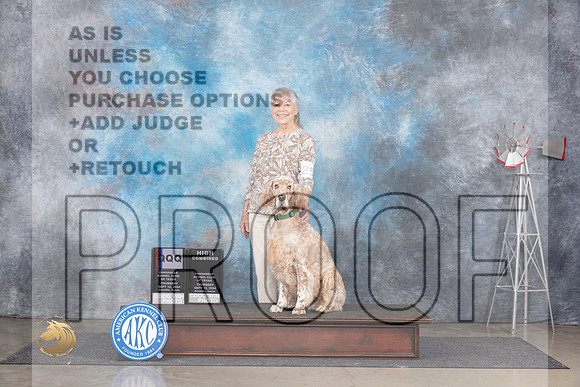 English Setter #25 Thurs HCQQQ Judge Terry Thorton__JP_4926_Amarillo_2024_HR3