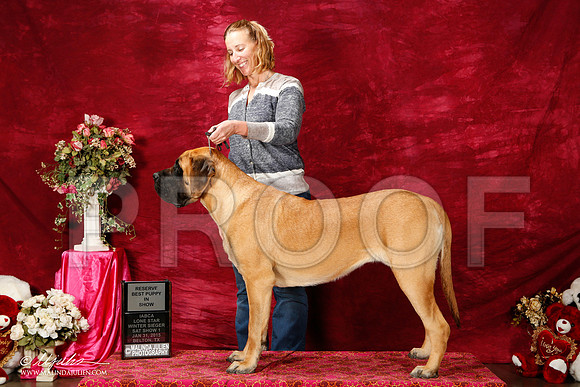 _ST_2673-2-BeltonJan2015IABCA-HR3