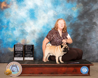 Pug #11 Sun SD Maj OHBOB NCh Judge Denise Dean