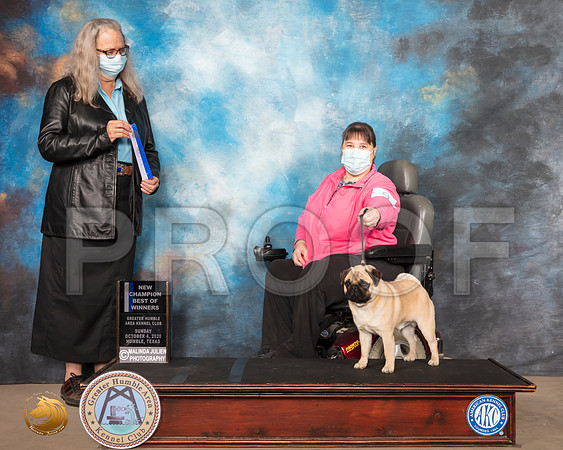Pug #9 Sun BOW NCh Judge Denise Dean_SR_1195_Humble_2020_HR3