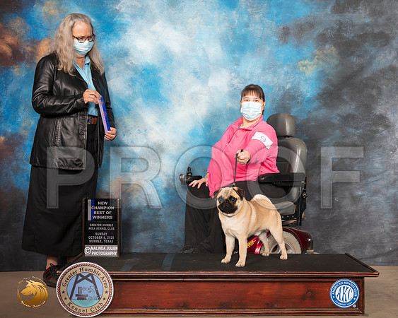 Pug #9 Sun BOW NCh Judge Denise Dean_SR_1196_Humble_2020_HR3