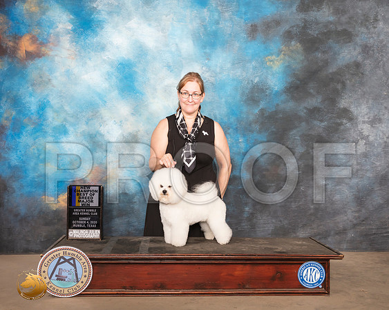 Bichon Frise #5 Sun BOB Judge Judy Daniels_SR_1675_Humble_2020_HR3