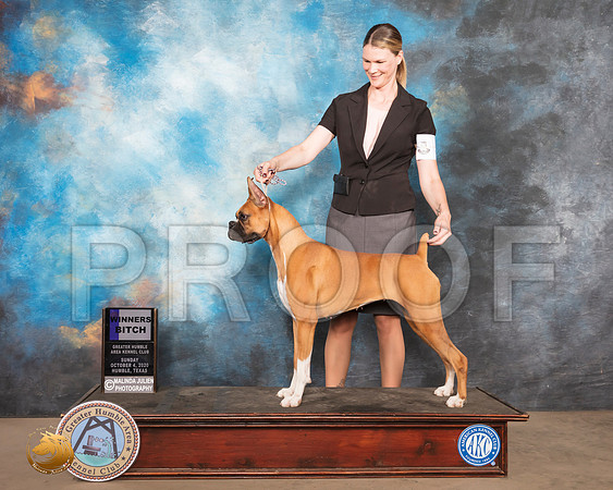 Boxer #6 Sun WB Judge Judith Daniels_SR_1510_Humble_2020_HR3