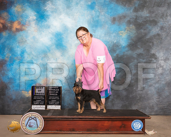 Brussels Griffon #5 Sun BOB OHBOB Judge Claire Kitty Steidel_SR_1265_Humble_2020_HR3