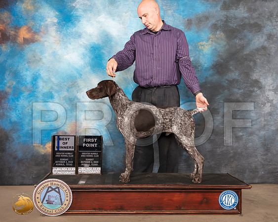 German Shorthaired Pointer #7 Sun BOW Judge Karen Hynek_SR_1295_Humble_2020_HR3
