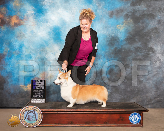 Pembroke Welsh Corgi #8 Sat WB Maj Judge Denise Dean_SR_1359_Humble_2020_HR3