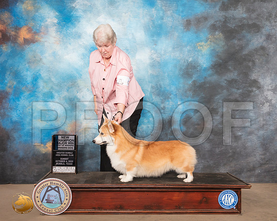 Pembroke Welsh Corgi #9 Sun BOW NCh Judge Karen Hynek_SR_1353_Humble_2020_HR3