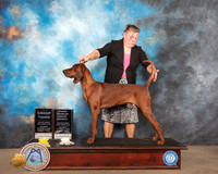 Redbone Coonhound #5 Sat G3 OHG4