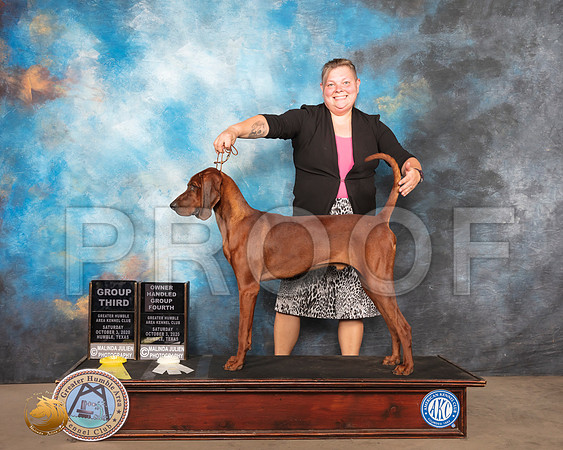 Redbone Coonhound #5 Sat G3 OHG4_SR_1527_Humble_2020_HR3