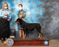 Rottweiler #10 Sun WB Maj Judge Denise Dean