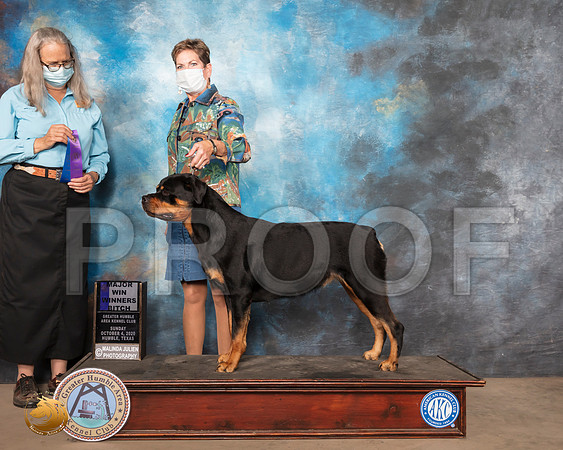 Rottweiler #10 Sun WB Maj Judge Denise Dean_SR_1507_Humble_2020_HR3