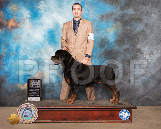 Rottweiler #9 Sun BOB Judge Denise Dean_SR_1431_Humble_2020_HR3