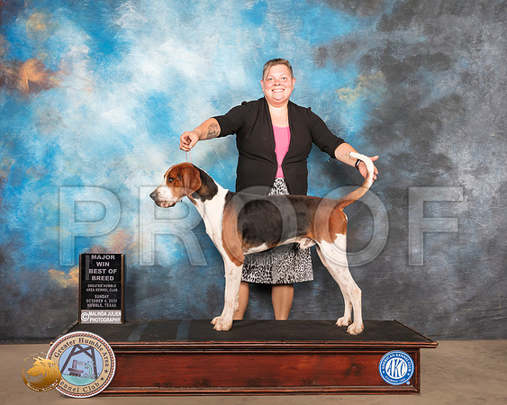 Treeing Walker Coonhound #5 Sun BOB Judge Dr Camille McArdle_SR_1521_Humble_2020_HR3