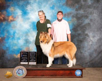Collie Rough #8 BOS Judge Karen Hynek