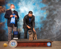 Affenpinsher #5 Sat G1 Judge John Constantine Amodei