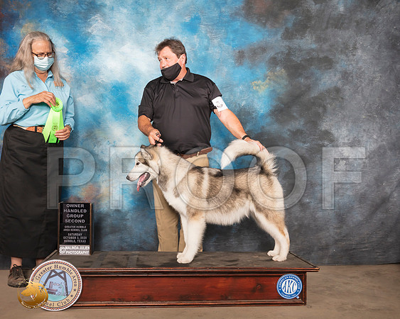 Alaskan Malamute #10 Sun OHG3 Judge Denise Dean_SR_1797_Humble_2020_HR3