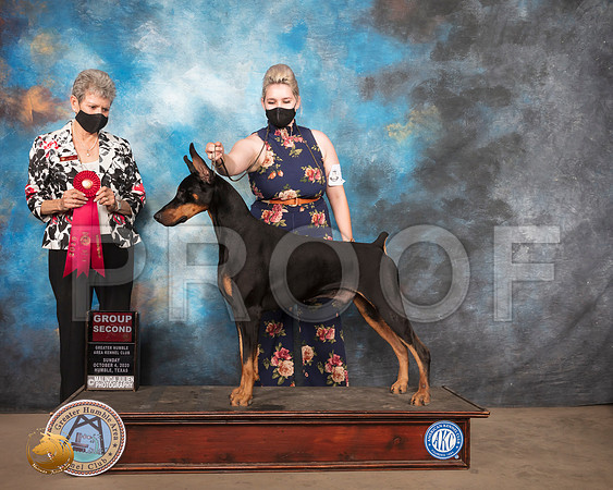 Doberman Pinscher #11 Sun G2 Judge Judith Daniels_SR_1821_Humble_2020_HR3