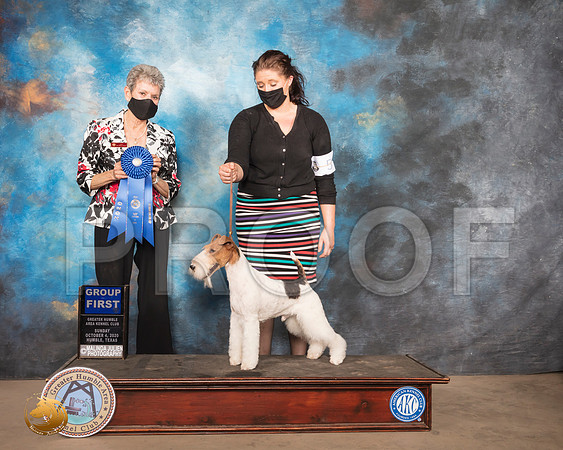 Fox Terrier Wire #5 Sun G1 Judge Judith Daniels_SR_1814_Humble_2020_HR3