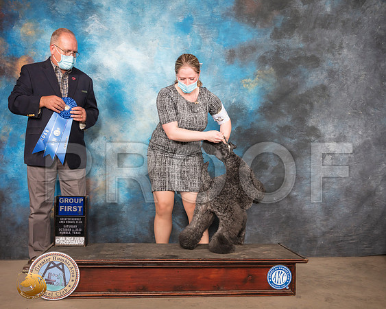 Kerry Blue Terrier #5 Sun G1 Judge John Constantine Amodei_SR_1842_Humble_2020_HR3