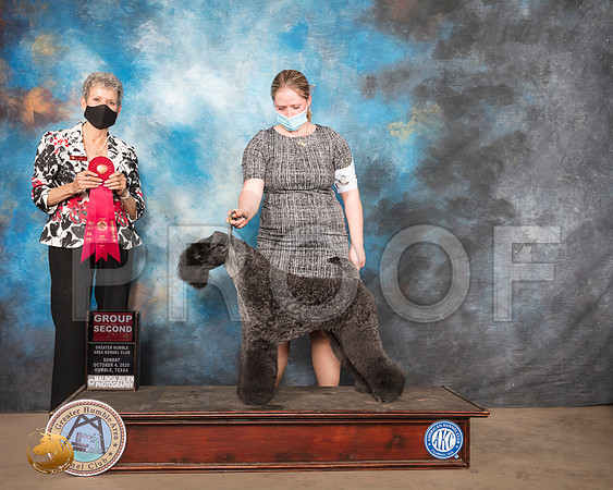 Kerry Blue Terrier #5 Sun G2 Judge Judith Daniels_SR_1837_Humble_2020_HR3