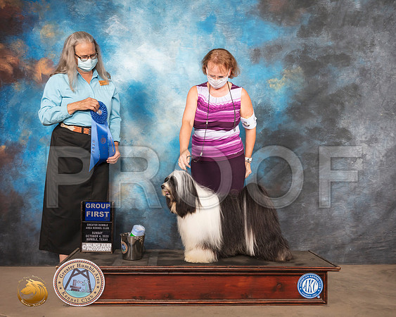 Tibetan Terrier #5 Sun G1 Judge Denise Dean_SR_1738_Humble_2020_HR3