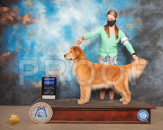 Golden Retriever #12 Sun G1 Judge Claire Kitty Steidel_SR_1934_Humble_2020_HR3