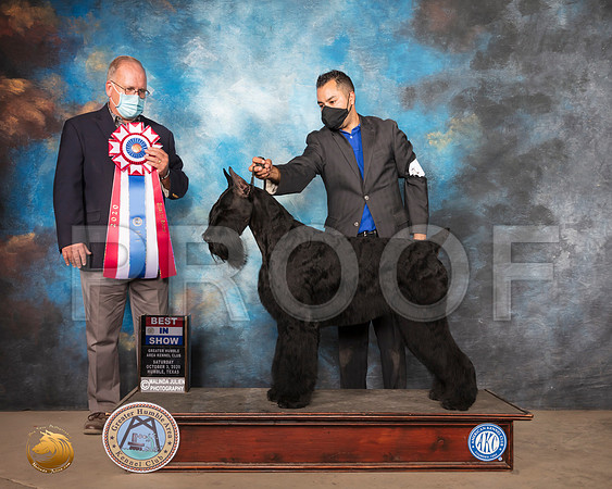 Giant Schnauzer #5 Sun BIS Judge John Constantine Amodei_SR_1977_Humble_2020_HR3