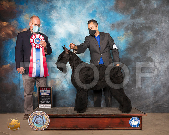 Giant Schnauzer #5 Sun BIS Judge John Constantine Amodei_SR_1978_Humble_2020_HR3