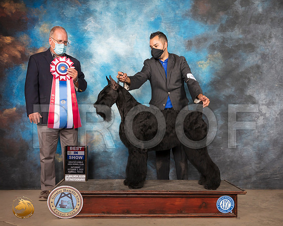 Giant Schnauzer #5 Sun BIS Judge John Constantine Amodei_SR_1983_Humble_2020_HR3