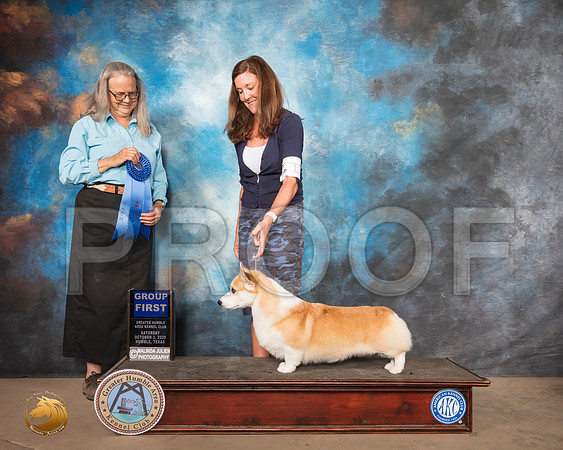 Pembroke Welsh Corgi #11 Sun G1 Judge Denise Dean_SR_1997_Humble_2020_HR3