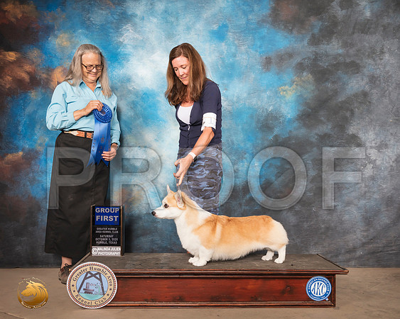 Pembroke Welsh Corgi #11 Sun G1 Judge Denise Dean_SR_1999_Humble_2020_HR3