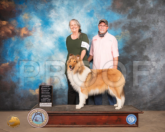 Rough Collie #8 Sun OHG2_SR_1959_Humble_2020_HR3