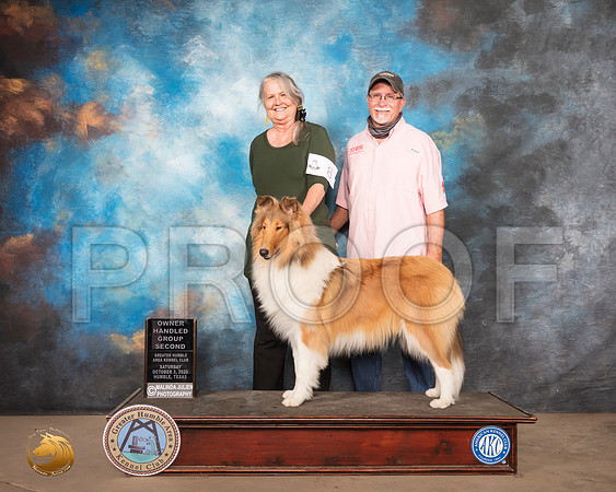 Rough Collie #8 Sun OHG2_SR_1964_Humble_2020_HR3