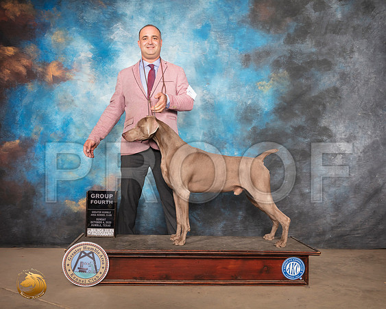 Weimaraner #5 Sun G4 Judge Claire Kitty Steidel_SR_2042_Humble_2020_HR3