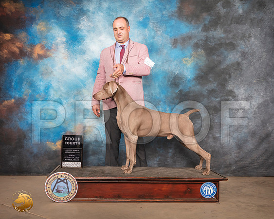 Weimaraner #5 Sun G4 Judge Claire Kitty Steidel_SR_2045_Humble_2020_HR3