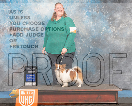 Papillon #238 Sat1 G3 Judge Tracey Kallas_MMJ_6465_Addison2022_HR3