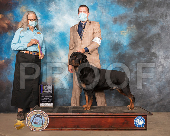 Rottweiler #9 Sun BOB Judge Denise Dean_SR_1656_Humble_2020_HR3