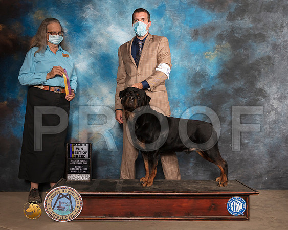 Rottweiler #9 Sun BOB Judge Denise Dean_SR_1661_Humble_2020_HR3