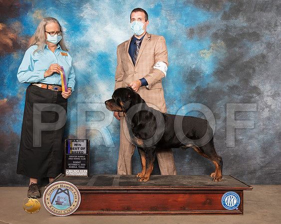 Rottweiler #9 Sun BOB Judge Denise Dean_SR_1663_Humble_2020_HR3
