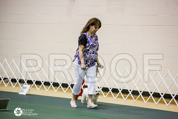 _JJ_4965-BsrCtyJun2014-HR3