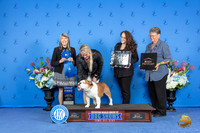 Bulldog #19 FRI G1 Judge Angela Pickett