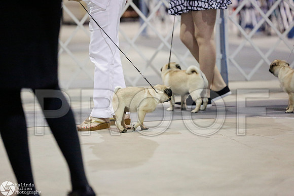 _RH_4061-SanAntonioJul2014-HR