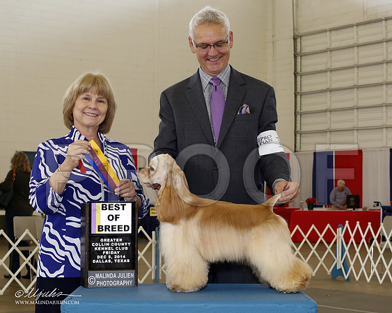 _CL_5275-2-DallasDec2014-HR3