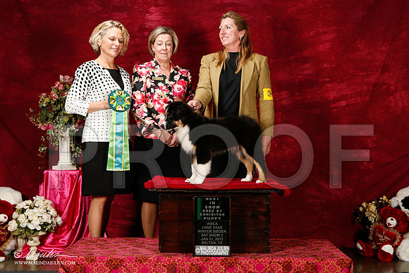 _ST_2685-2-BeltonJan2015IABCA-HR3