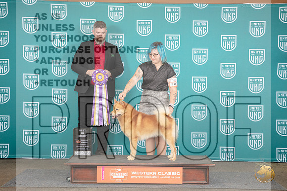 Finnish Spitz #218 Sat BIS Judge Kevin Carroll__JP_1555_Longview WA_2024_HR3