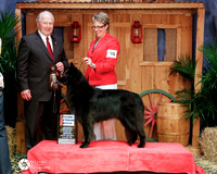 BSCA #98 Vet 9-11 Bitch 2nd Pat Snow Dennette Cockley