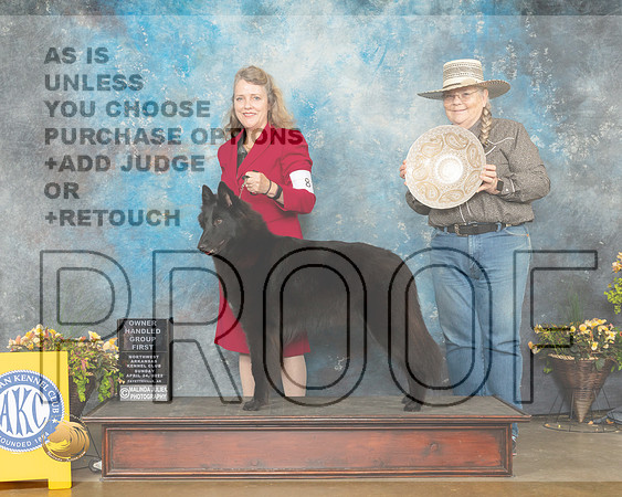 Belgian Sheepdog #8 Sun OHG1 Judge Jim Fehring-MMJ_1561-NWARK2022-HR3
