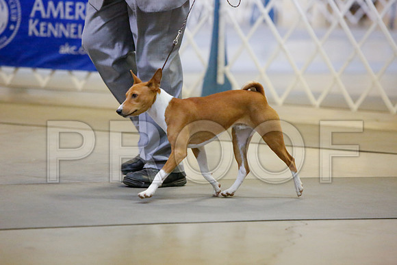 _JJ_3505-AmarilloSept2014-HR3